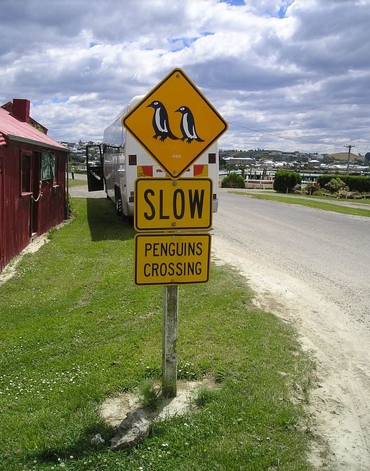 vista-travel-luxuskreuzfahrten-Luxus-Kreuzfahrt-Australien-02