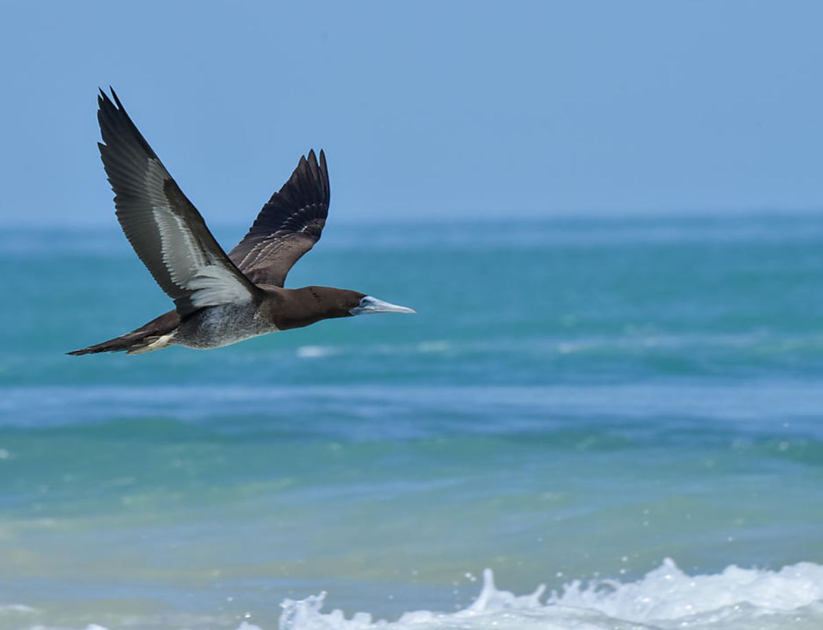 vista-travel-luxuskreuzfahrten-luxus-kreuzfahrt-neuseeland-07