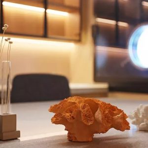 Diana - innen Lounge für Lektorate