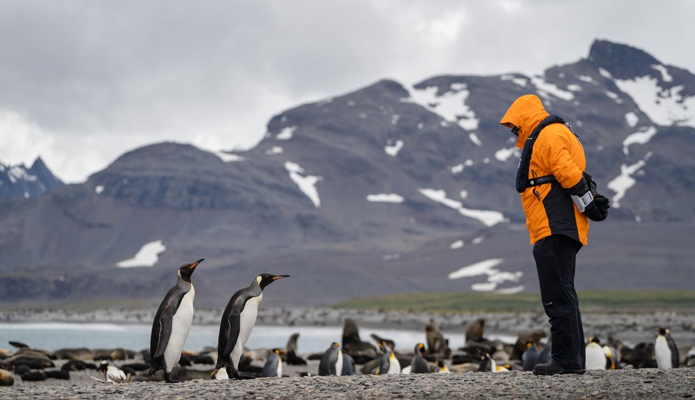 vista-travel-luxuskreuzfahrten-kreuzfahrt-antarktis-2024-06
