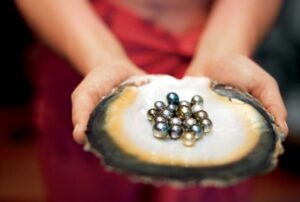 Reise# INS2606 luxus-kreuzfahrt